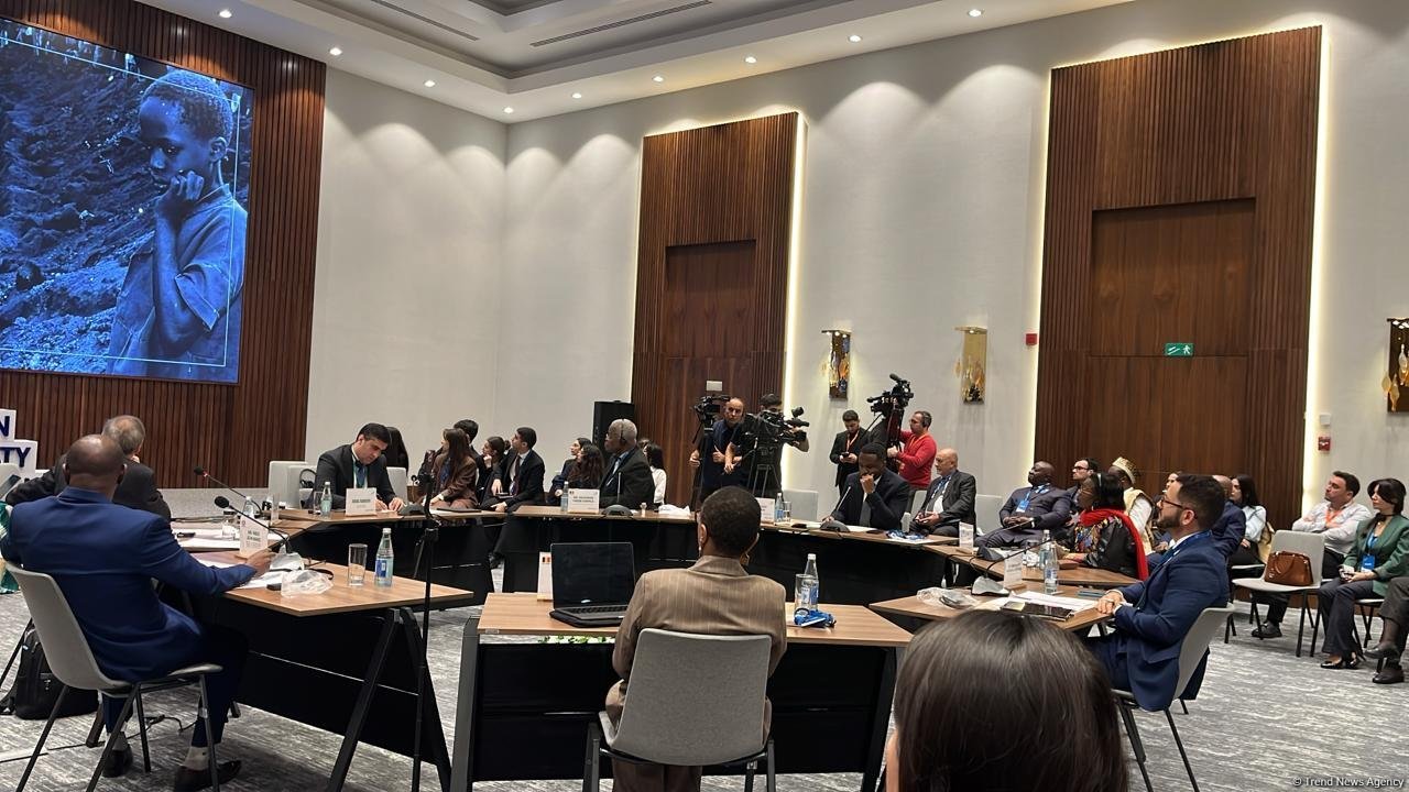 Organization of Congresses and Forums in Baku - 5